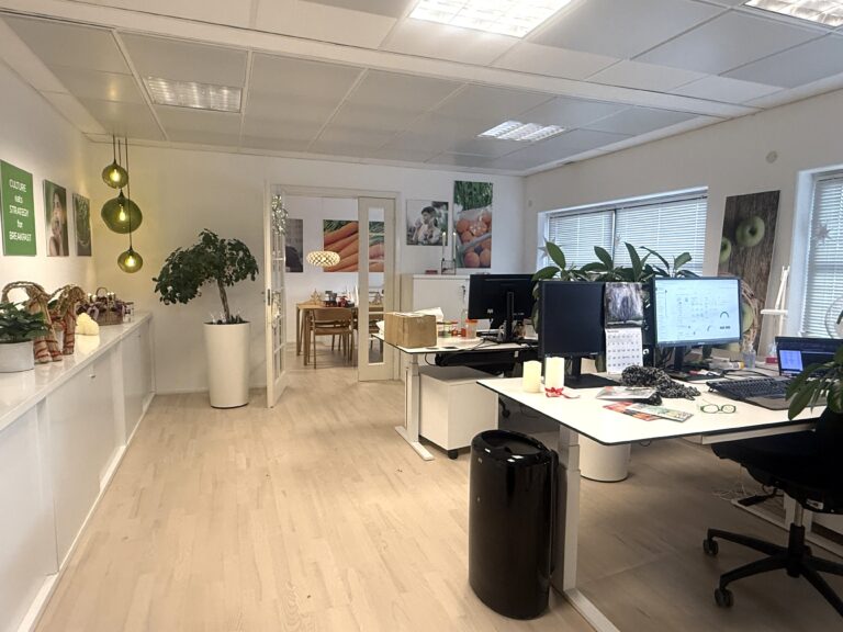Lyst kontor med skriveborde, computere, planter og møderum
